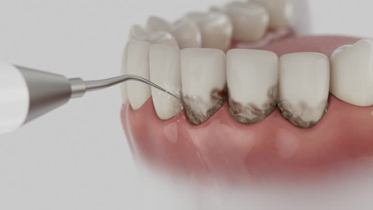 Reliable Dental contractor in Wentworth, NC by Dentist Open Now